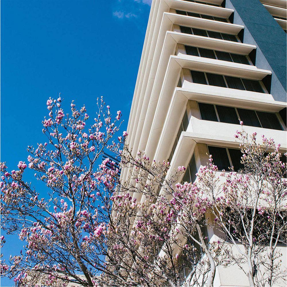 Abode Woden Aparthotel Canberra Exterior photo